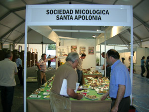 AgroSiero 2007